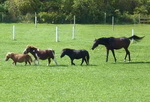 Thumbnail image for We are all the same size inside