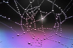 Thumbnail image for We are all connected