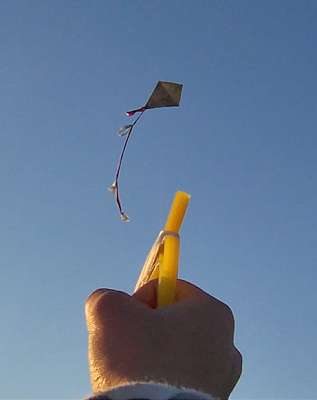 Kite_flying