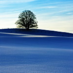 Thumbnail image for Winter Sky – a poem for Spring
