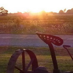Thumbnail image for Waiting Long – a poem for moving on