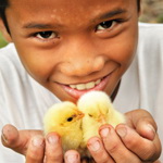 Thumbnail image for Honoring Others with Alternative Gifts